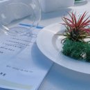 반려식물 테라리움 만들기 이미지