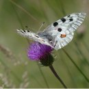 용인대 안경 이미지