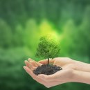 그린테일(GREENTAIL) 이미지