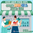 싱싱한과일
