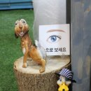 훈민상사 이미지