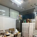플로로문