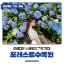 해남군-14 | 제1회 해남 4est 수국정원축제 (6/14-7/14)