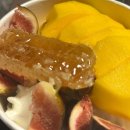 이파마시동물약국 | 여름부터 지금까지의 지빵 일상