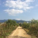 생태과학원정대 | ［ 부산관광의별원정대 ］투어버스 타고 부산여행하기! -2일차 &lt; 낙동강 에코버스타고 생태탐방 떠나자!&gt;