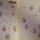 오류돈 이미지