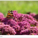 사진전람회 이미지