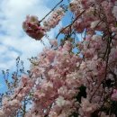 망산공원 이미지