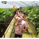 유영농장 이미지