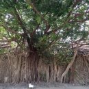 주식회사 수우 이미지