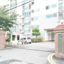 선정아파트 네이버블로그