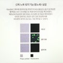 싱싱야채과일 이미지