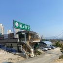 올고존 티스토리