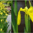 유성도서관 3층 이미지