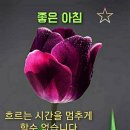 10월10일 점팔이품바와 콜라보 2일째 실시간방송 중입니다 이미지