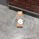 카카오메이커스 새가버치 10기 후기