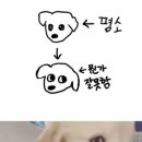 강아지그림 이미지
