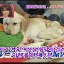 하이디