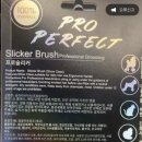 로댕 펫 살롱 이미지