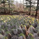 정령치로 이미지