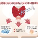 엔유네이처 | [엔유네이처] 무불소 천연 한방 치약 후기 - 이명래 잇몸약치