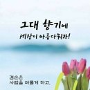 씨실