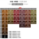 슈보헤어 이미지