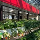 만정농장 이미지