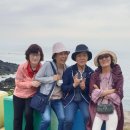 옛촌목장 이미지