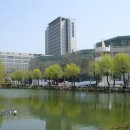 인하대학교 이미지