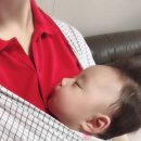 유호네 돈까스 이미지