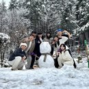 초시산장