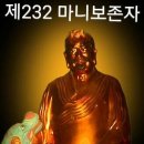 마니보 이미지
