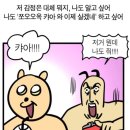 모그로드