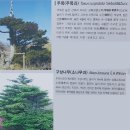 덕유산 (1,614m,무주구천동 茂朱九千洞;07월21일) 이미지