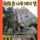 큰나무옆작은점빵 | 과천 큰 나무 제거 및 벌목 작업