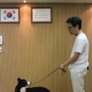 이리와 이미지