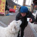 운문사 칼국수집 상근이 마중나왔네요~하산주 이미지