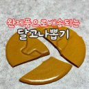 달고나나라