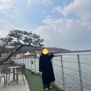 떡슐랭고양 | 2023.11~2023.12 일상일기