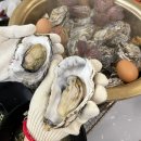 석화 | 울산병영맛집 중구 살아있네 병영본점 석화찜 후기