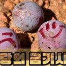 비전과리더십출판사