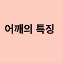 미드림 이미지