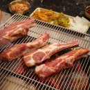 신당 양갈비 양꼬치 맛집 양복점 신당점