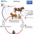 이루동물병원 이미지