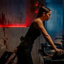 아다네일 이미지