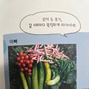텃밭 | 베란다에서 시작하는 초보 농부 도전기, 『내 손으로 기르는 텃밭 채소』 후기