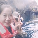 쇠소깍크루즈