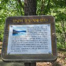 충북제천여행 가볼 만한 곳 청풍호 청풍랜드 레저, 주차꿀팁| 볼거리, 놀거리 다양하네