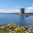 양양군 종합운동장 테니스장 이미지